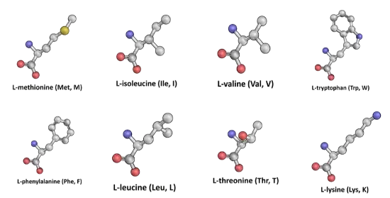 Advanced Amino Formula Ingredients