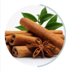 Neuro Surge Ingredient - Cinnamomum cassia