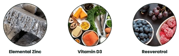 Primera Ingredients - Elemental Zinc, Vitamin D3, Resveratrol