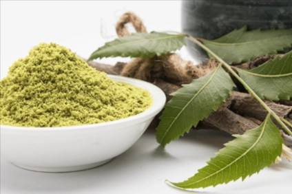ProstaLite Ingredient - Neem Leaf Powder