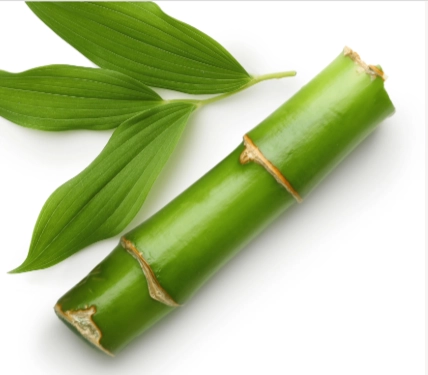 ProstaLite Ingredient - Phyllostachys Edulis Extract