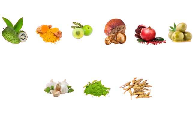 Restolin Ingredients
