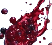 Cranberry-Extract