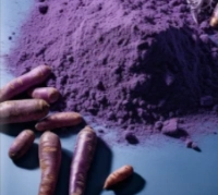 Purple-Carrot-Powder